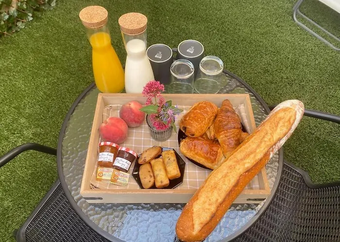 Avec Jardin Privatif * Vienne (Isere)